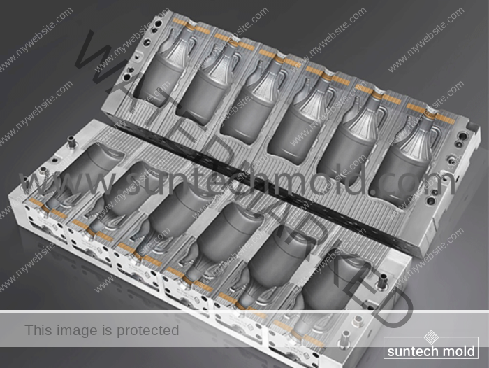 6 cavities soy sauce bottle mold 01